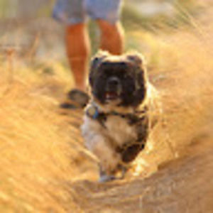 Meet your Posher, Cameron